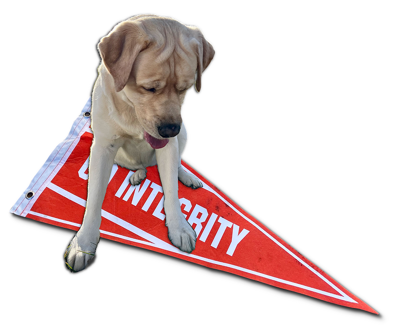 Dog standing on a flag