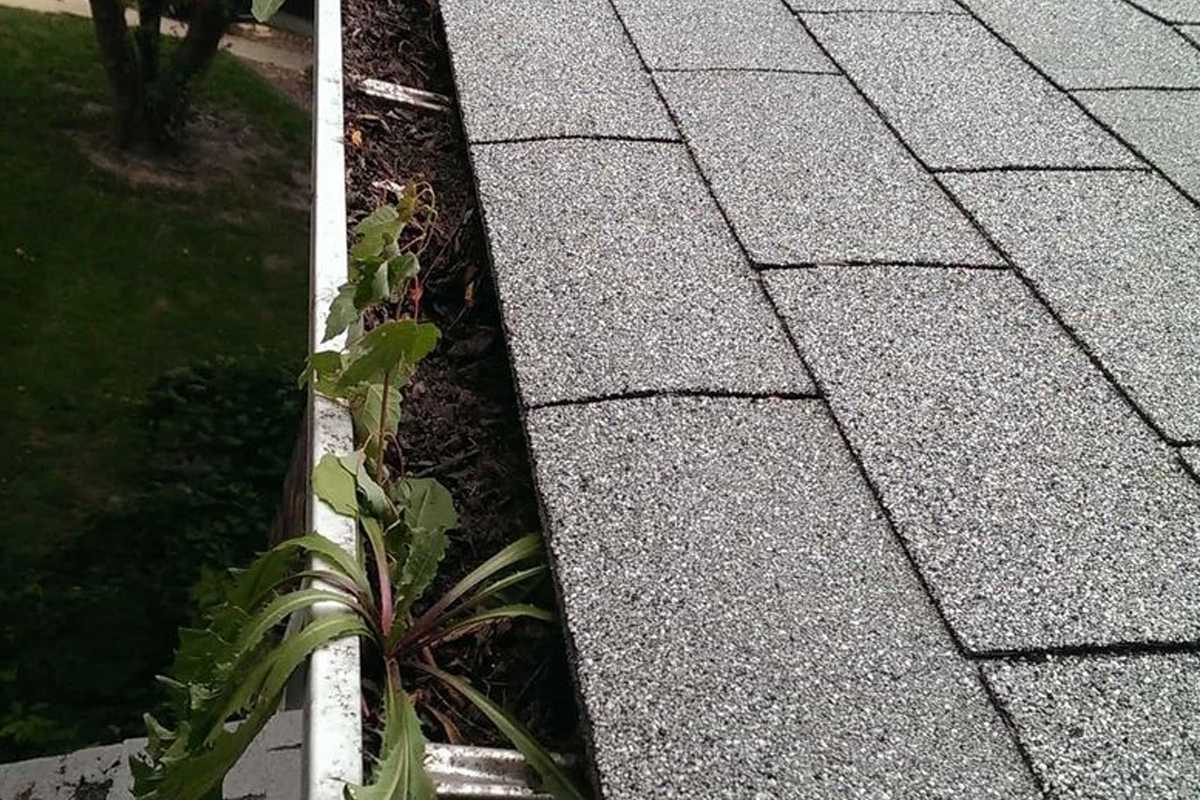 Signs You May Need to Replace Your Roof